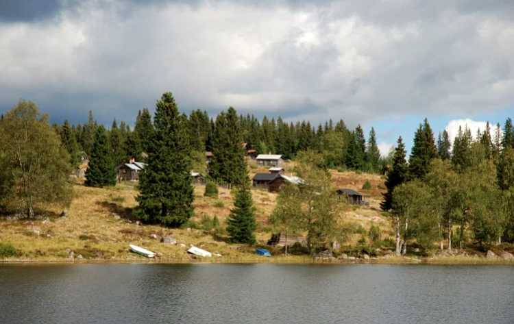 Olas släkt från Linghed!