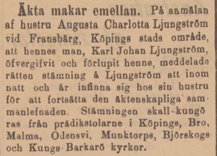 Anna (Charlotta) Ljungström - Diagnos schizofreni