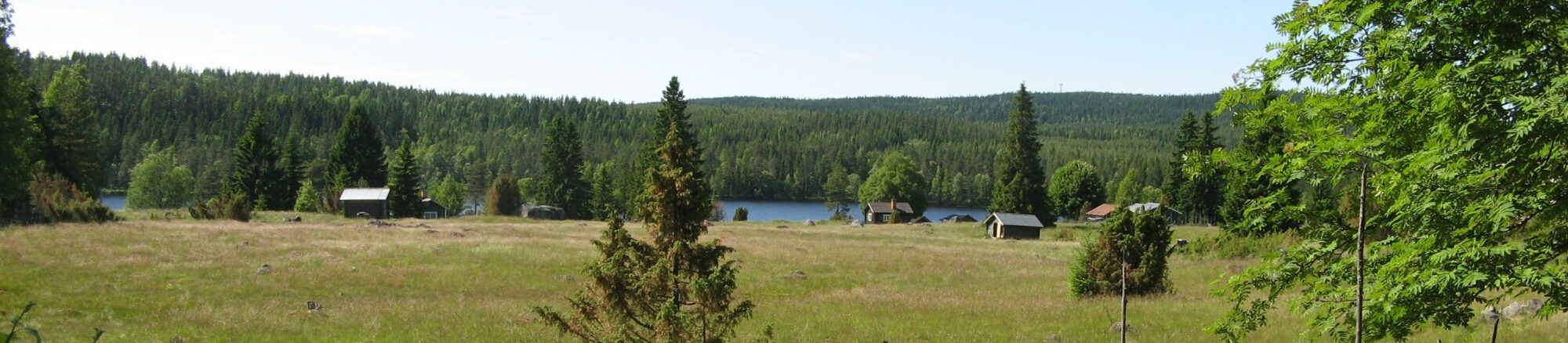 Olas släkt från Linghed!